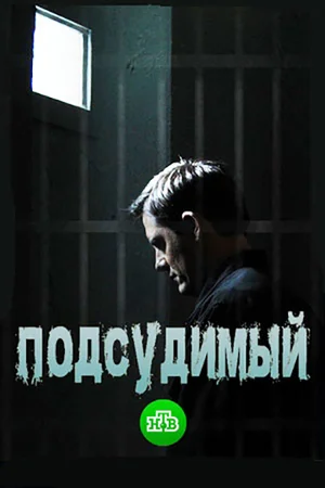 Подсудимый (сериал 2019)