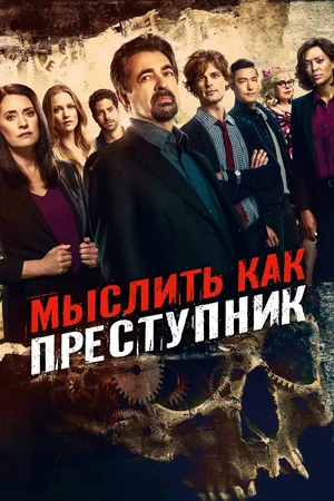 Мыслить как преступник (сериал 2005 – …)