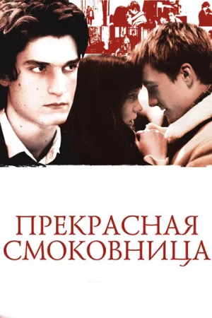 Прекрасная смоковница (2008)