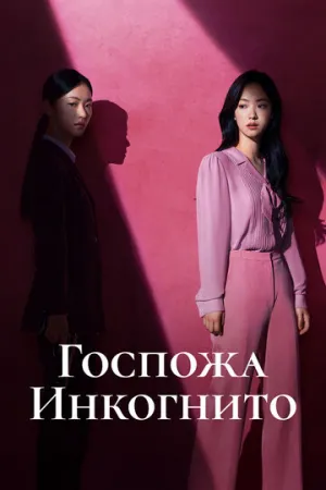 Госпожа Инкогнито (сериал 2025)