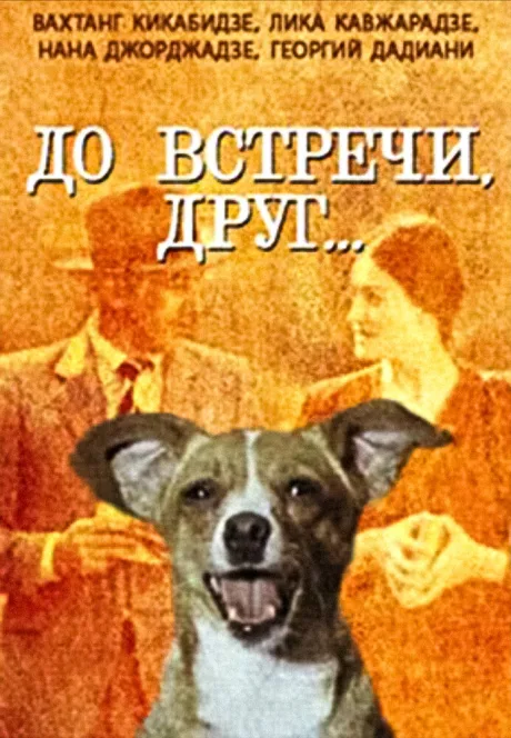 До встречи, друг…