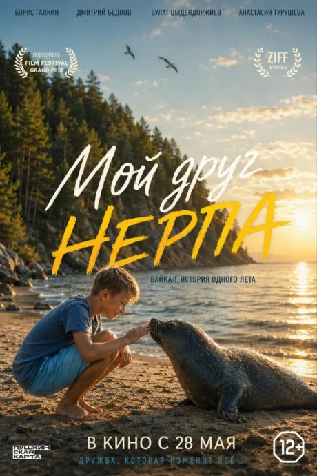 Мой друг нерпа (2025)