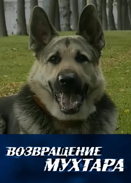 Возвращение Мухтара (сериал 2003)