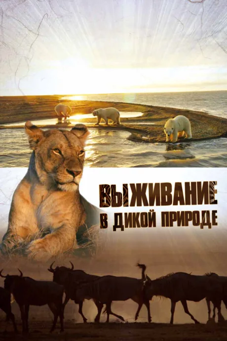 Выживание в дикой природе (сериал 2015)